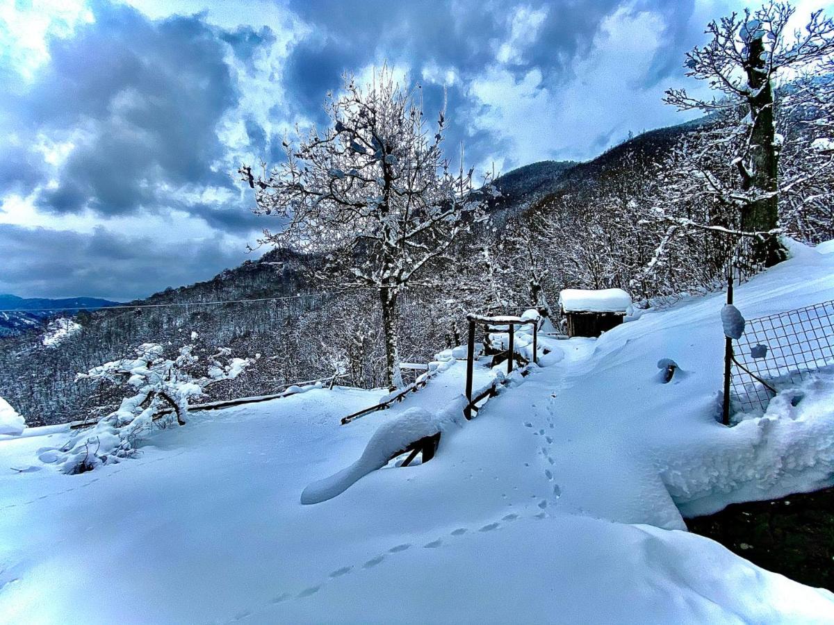 B&B La Presa Molino del Pallone Luaran gambar