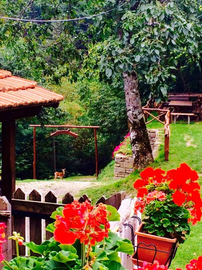 B&B La Presa Molino del Pallone Luaran gambar